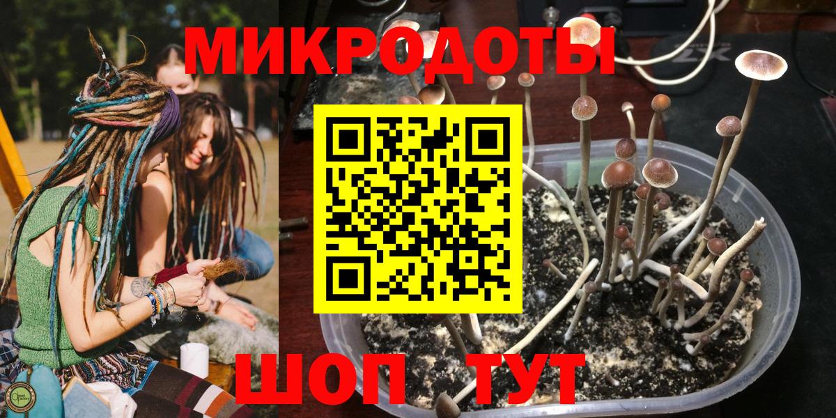 Галлюциногенные грибы Cubensis  купить наркотики цена  Троицк  Вход с VPN 